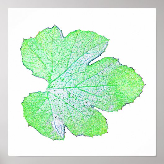 Poster van de Groene Squash Leaf Minimalism Square (Voorkant)