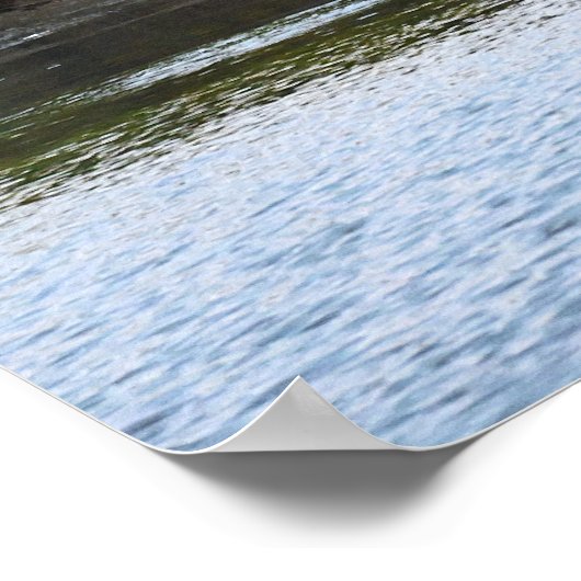 Poster van de grote blauwe herenkruid (Hoek)