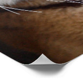 Poster van de grote tijger (Hoek)