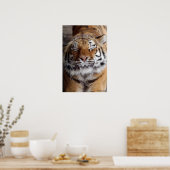 Poster van de grote tijger (Keuken)