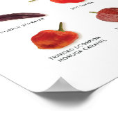 poster van de Grow List van 7 Pot Club 2019 (Hoek)