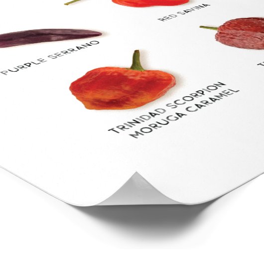 poster van de Grow List van 7 Pot Club 2019 (Hoek)