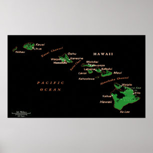 Poster van de Hawaiiaanse eilanden