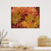 Poster van de herfst Splendor (1) (Keuken)