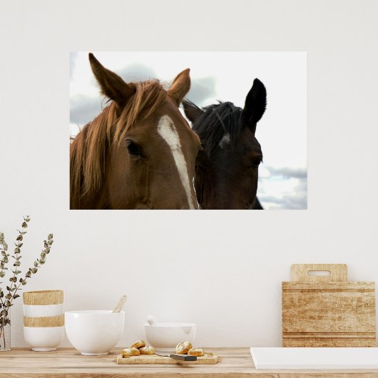 poster van de horsey (Keuken)