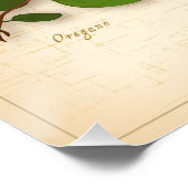 Poster van de Italiaanse kruiden (Hoek)