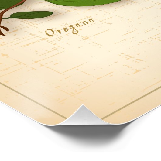 Poster van de Italiaanse kruiden (Hoek)