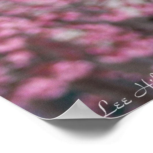 Poster van de Japanse Cherry Blossom (Hoek)