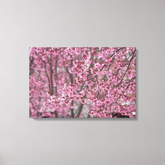 Poster van de Japanse Cherry Blossom Canvas Afdruk (Voorkant)
