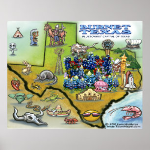 Poster van de Kaart van de TEXAS van het brandnet