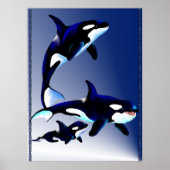 Poster van de Killer Whale Family (Voorkant)