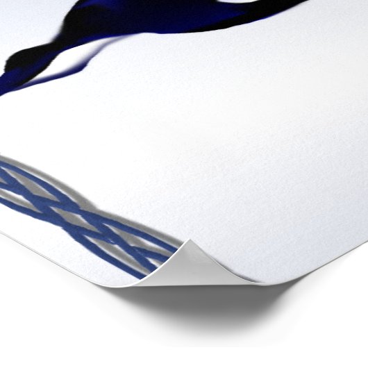 Poster van de Killer Whale Family (Hoek)