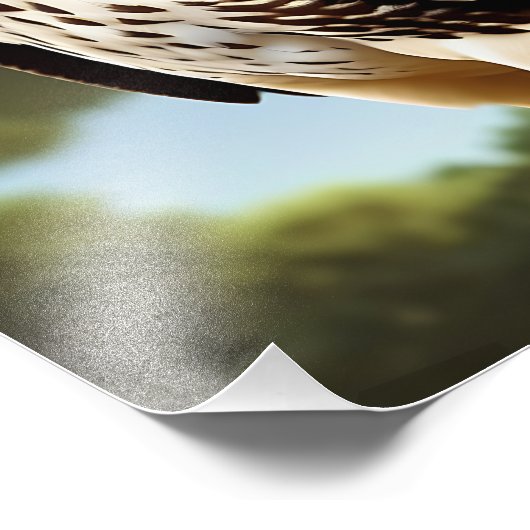 poster van de kranten (Hoek)