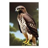 poster van de kranten (Voorkant)