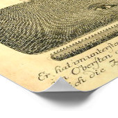  Poster van de Kunst van de Grote Whale Illustrati (Hoek)