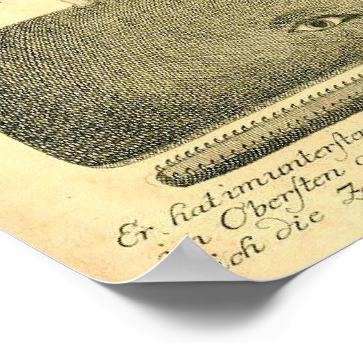  Poster van de Kunst van de Grote Whale Illustrati (Hoek)