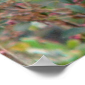 Poster van de lente-blauwvogel (Hoek)