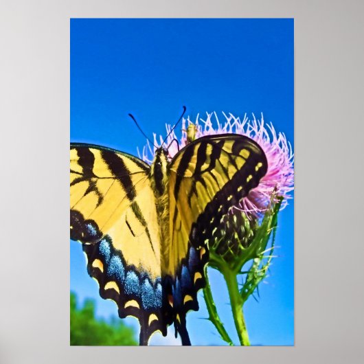 Poster van de Liefde (Voorkant)