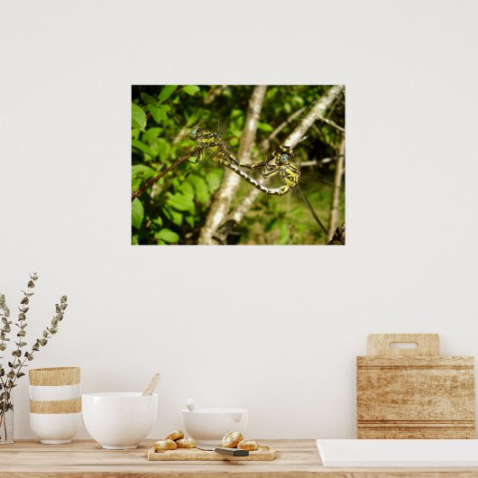 Poster van de luidop (Keuken)