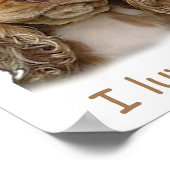 Poster van de mangelpuppy Cocker (Hoek)