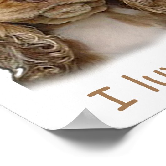 Poster van de mangelpuppy Cocker (Hoek)