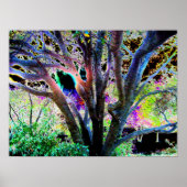 Poster van de melkboom (Voorkant)