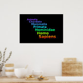 Poster van de menselijke taxonomie (Keuken)