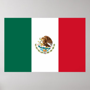 Poster van de Mexicaanse Nationale Vlag (Mexico)