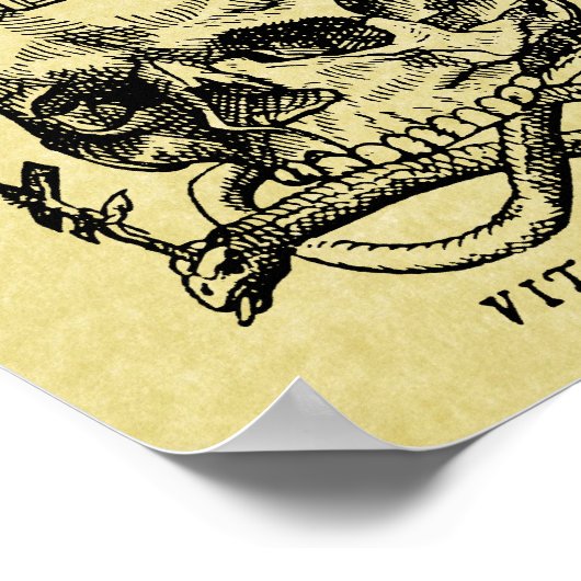 Poster van de middeleeuwse houtsnipper (Hoek)