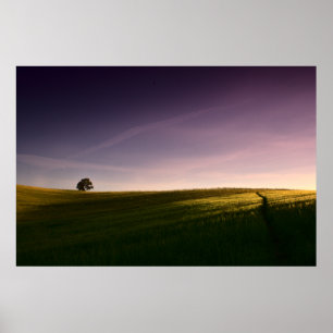 Poster van de minimalistische zonnezon (oude linsl