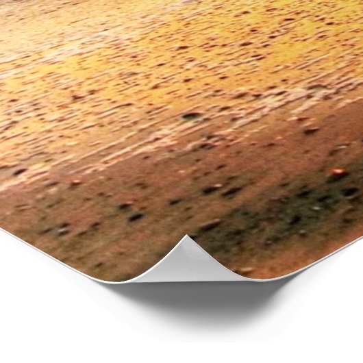 Poster van de Muur van de Beach Seaside Natuur van (Hoek)