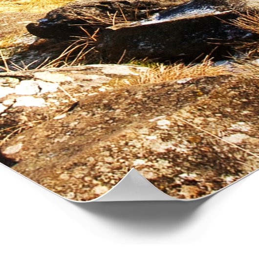 Poster van de muur van Hadrians/druk (Hoek)