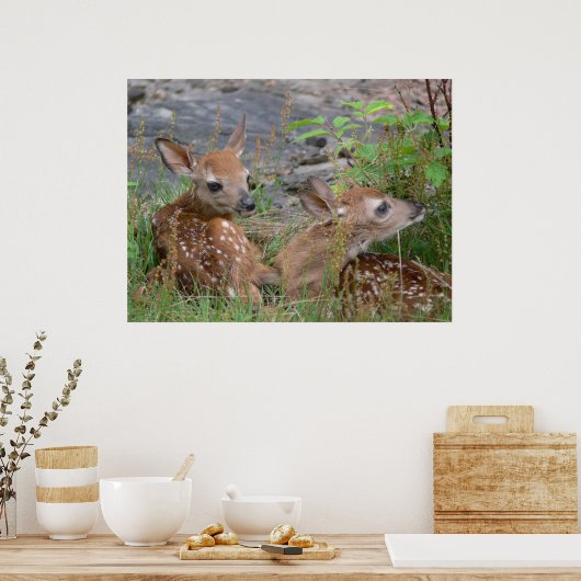 Poster van de Newborn Twin Bambis (Keuken)