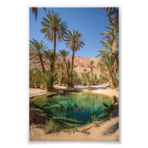 poster van de oase van marrakech