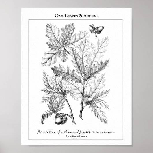 Poster van de  offerte van eikenbladeren en eikels (Voorkant)