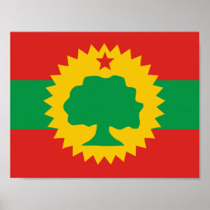 Poster van de Oromo-vlag