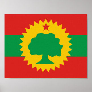 Poster van de Oromo-vlag