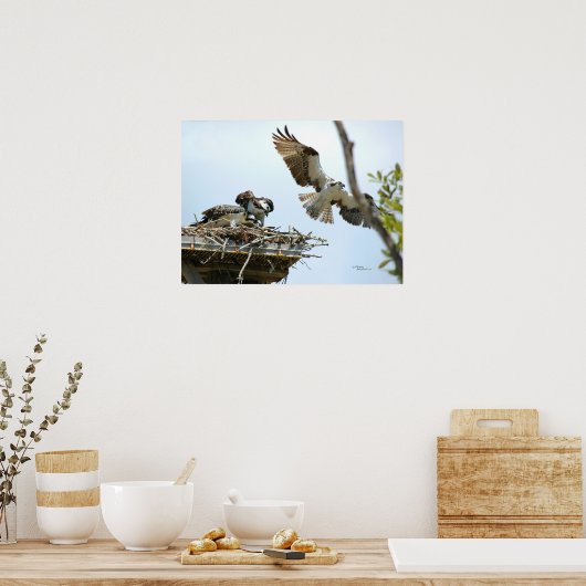 Poster van de Osprey-reeks (Keuken)