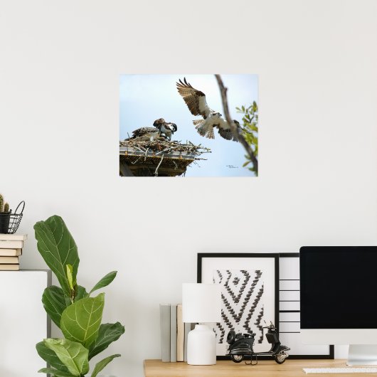 Poster van de Osprey-reeks (Thuiskantoor)