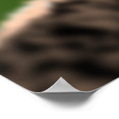 Poster van de Ostrich afspelen - Lach - Uw kleur - (Hoek)