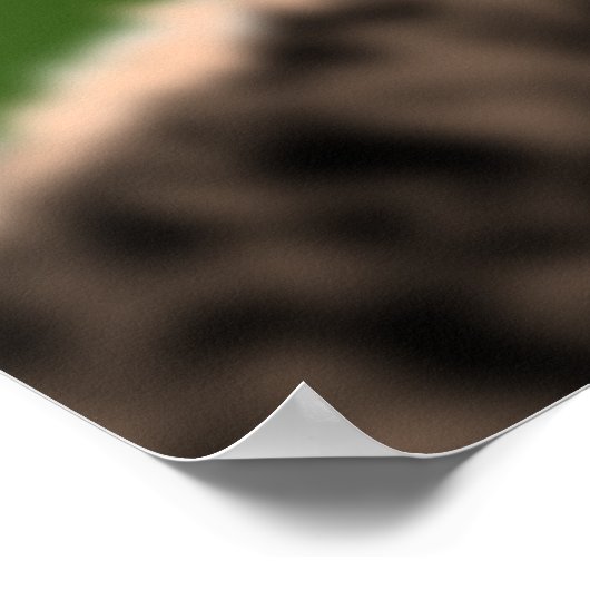 Poster van de Ostrich afspelen - Lach - Uw kleur - (Hoek)