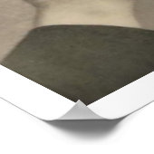 Poster van de oude geneeskunde (Hoek)