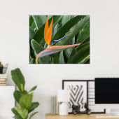 Poster van de Paradijsbloem (Thuiskantoor)