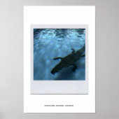 POSTER VAN DE POOLSERIE VAN DAVID p05b (Voorkant)