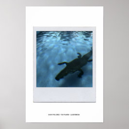 POSTER VAN DE POOLSERIE VAN DAVID p05b