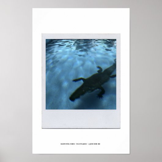 POSTER VAN DE POOLSERIE VAN DAVID p05b (Voorkant)