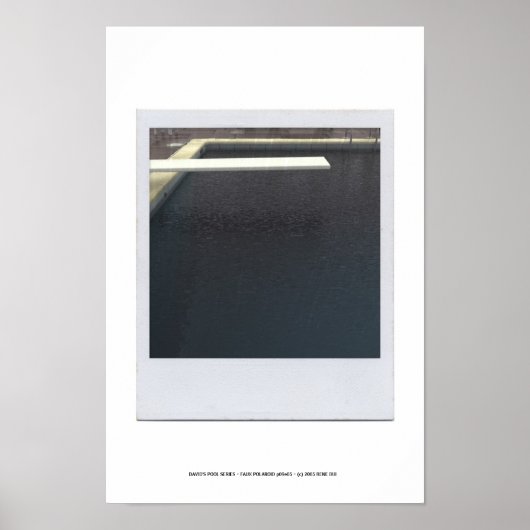 POSTER VAN DE POOLSERIE VAN DAVID p09e05 (Voorkant)