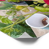 Poster van de prachtige Rannunculus Spring Flower  (Hoek)