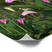 Poster van de prachtige waterval (Hoek)