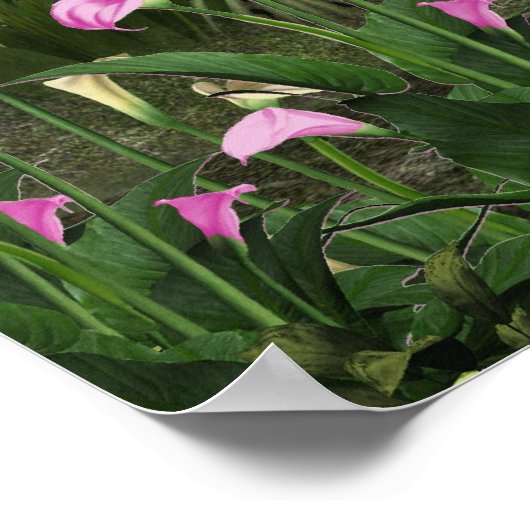 Poster van de prachtige waterval (Hoek)